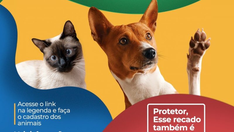 Casimiro de Abreu começa a realizar castrações de cães e gatos gratuitamente