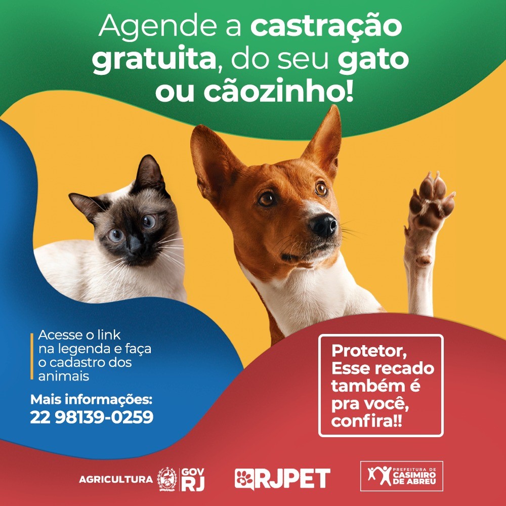 Casimiro de Abreu (RJ) começa a realizar castrações de cães e gatos gratuitamente