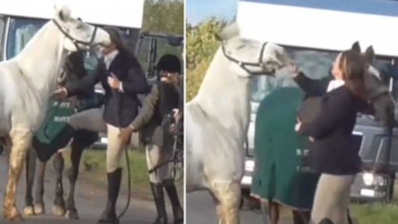 Vídeo: mulher é flagrada dando chute e tapas em cavalo na Inglaterra