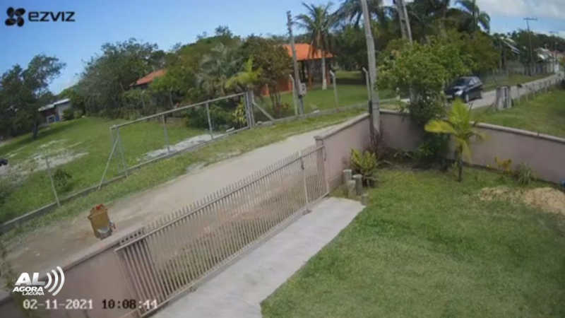 Vídeo registra disparo contra cachorro em Laguna, SC