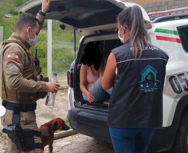 Mulher é presa em São José (SC) com cães mortos em casa
