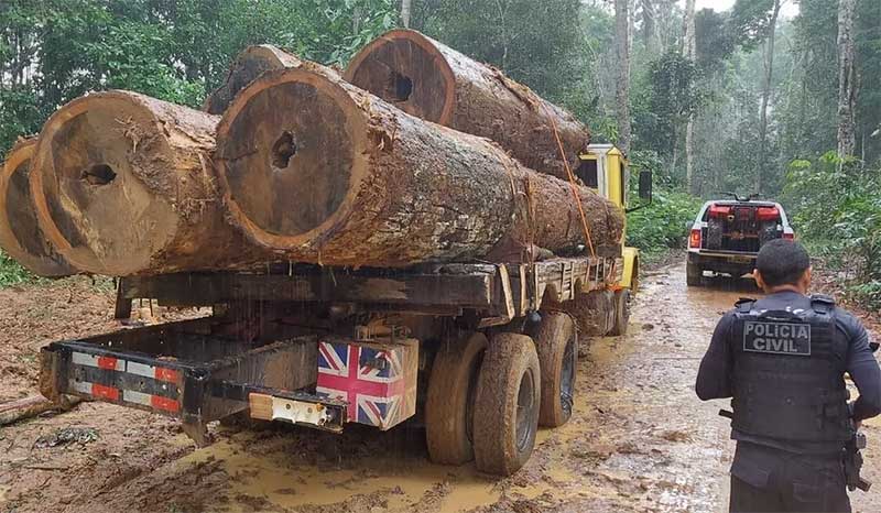 Polícia achou um caminhão com toras de madeira durante operação — Foto: Arquivo/Polícia Civil