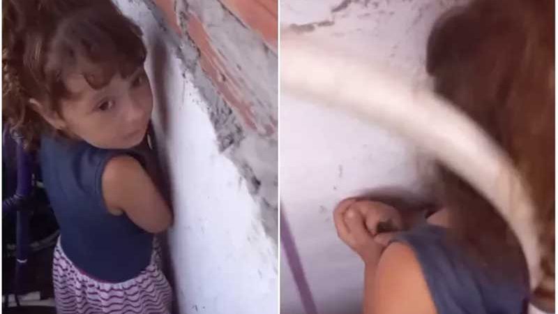 Menina segura rato nas mãos para protegê-lo e vídeo viraliza: “ela ama os animais”
