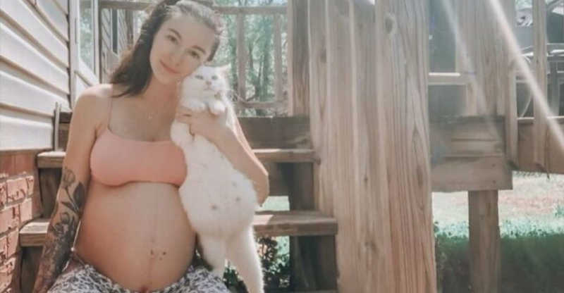 Mulher grávida resgata gata na mesma condição e elas dão à luz juntas: ‘Amor de mãe’