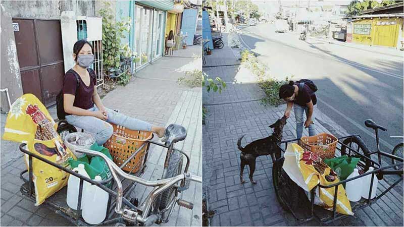 Mulher continua a alimentar cachorros e gatos de rua mesmo sem dinheiro para se sustentar