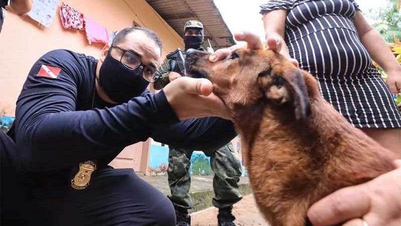 Operação policial no Pará resgata 15 animais em situação de maus-tratos