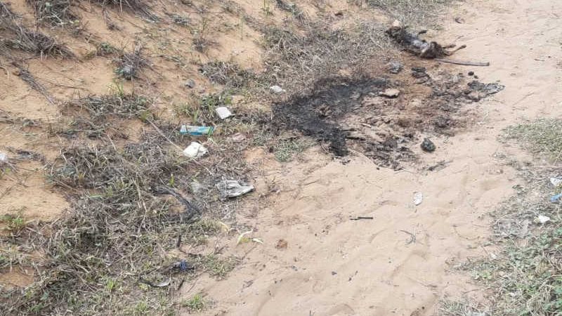 Cachorro é queimado na zona oeste de Natal — Foto: Sérgio Henrique Santos/Inter TV Cabugi
