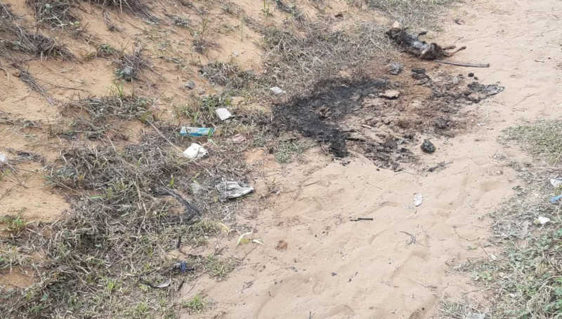 Cachorro é incendiado na zona oeste de Natal, RN; polícia vai apurar caso