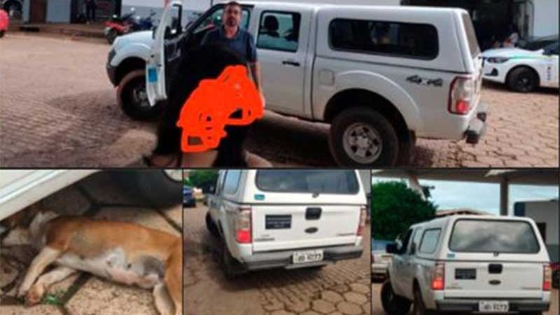 Usuário de rede social acusa motorista do TRE de atropelar e matar cão de "propósito" na rodoviária de Cacoal, RO