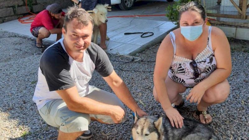 Canil clandestino: animais começam a ser liberados para lares temporários em Jaguaruna, SC