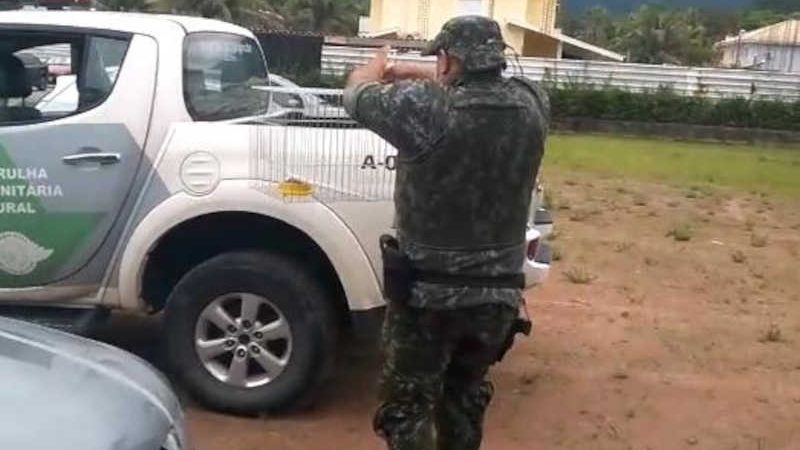 Polícia Ambiental atende ocorrência de captura de gatos realizada por condomínio em Caraguatatuba, SP