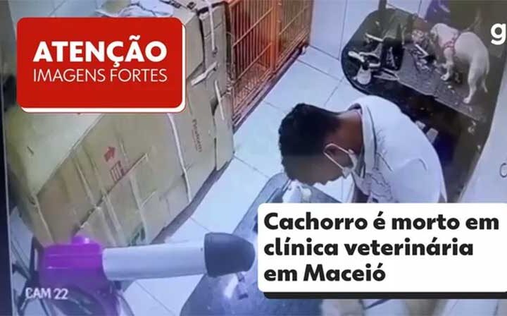 Justiça decreta prisão de homem que sufocou cachorro até a morte em clínica veterinária em Maceió