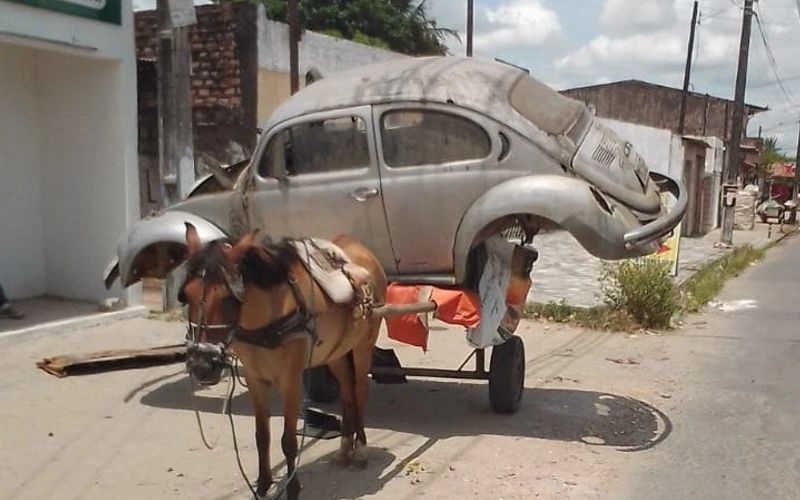Carroceiro é preso por fazer égua carregar carcaça de automóvel de 300 kg em Maceió, AL