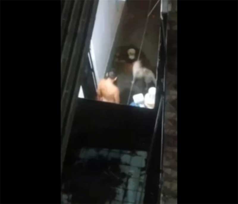 Cachorro é resgatado após vizinho flagrar tutor do animal cometendo zoofilia em Manaus, AM; veja vídeo
