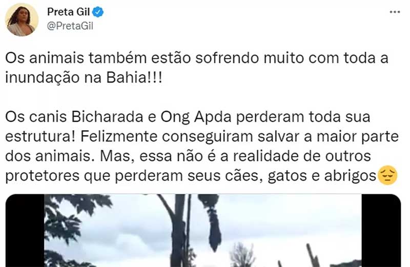 Preta Gil faz apelo por ajuda a animais na Bahia — Foto: Redes sociais
