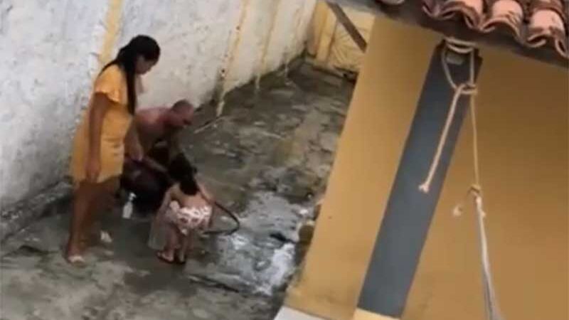 Covardia: homem é flagrado agredindo cachorro enquanto dá banho no animal; veja vídeo
