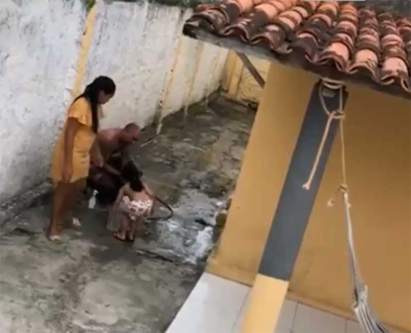 Covardia: homem é flagrado agredindo cachorro enquanto dá banho no animal; veja vídeo