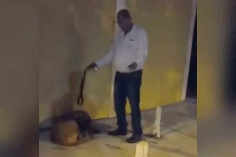 Vídeo: homem é flagrado agredindo cachorro com chutes e cinto em Goiás