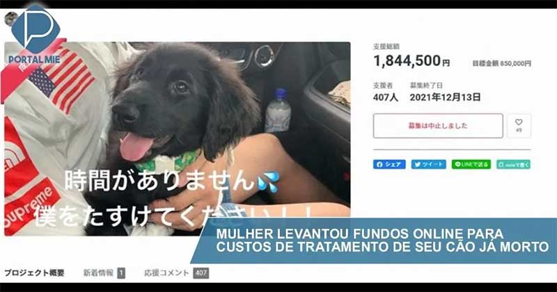 Mulher é presa no Japão por levantar fundos online para tratamento de seu cão já morto