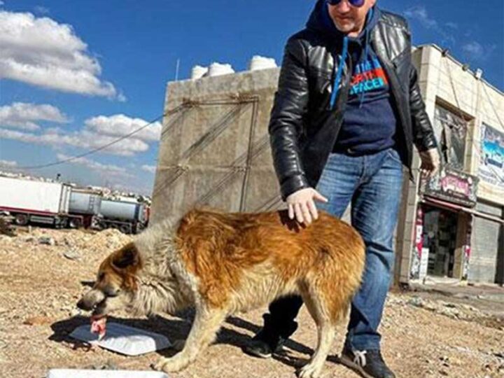 Nader Abdulraheem fotografado ao alimentar um cão de rua (Foto cortesia de Nader Abdulraheem)