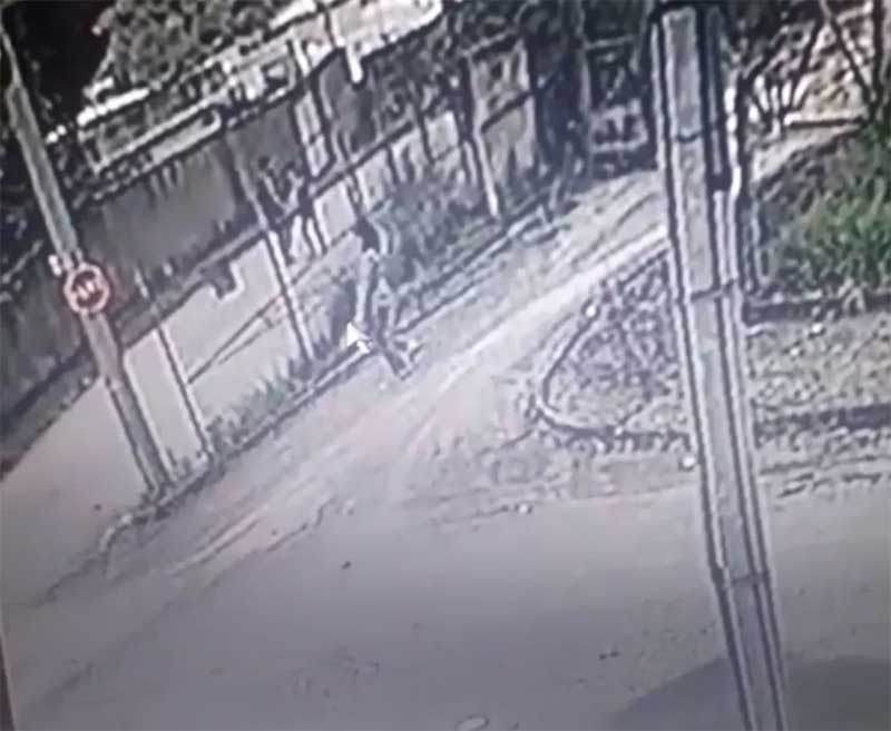 VÍDEO: câmera de segurança registra momento em que mulher atira cães sobre uma cerca com mais de dois metros de altura em Itaúna, MG