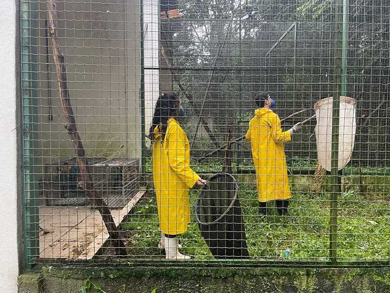 Após barragem transbordar na Grande BH, Ibama retira por segurança 400 animais do Centro de Reabilitação em Nova Lima, MG