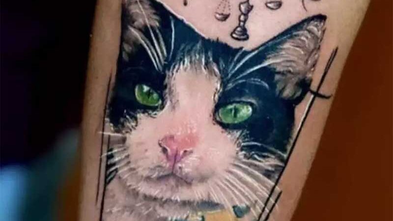Após fama por causa de gato, responsável fecha ciclo tatuando Frajola