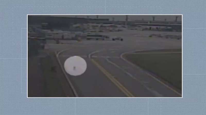 Câmera de segurança mostra cachorra Pandora correndo na pista do Aeroporto de Guarulhos antes de desaparecer — Foto: Reprodução TV Globo
