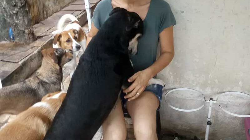 Durante 13 anos lutando contra o câncer, Rosana não deixou de cuidar dos cães que foram resgatados — Foto: Lúcia Garrido/Arquivo pessoal
