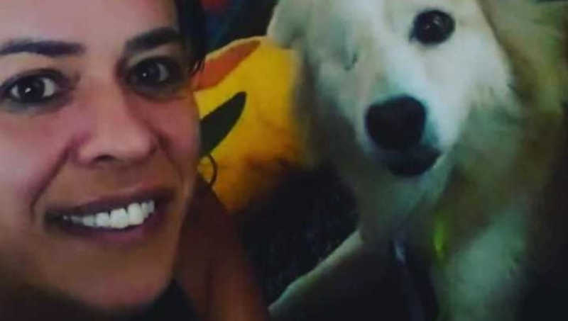 Cão deficiente é a primeira adoção de 2022 do “Baby, Me Leva”, em Suzano, SP