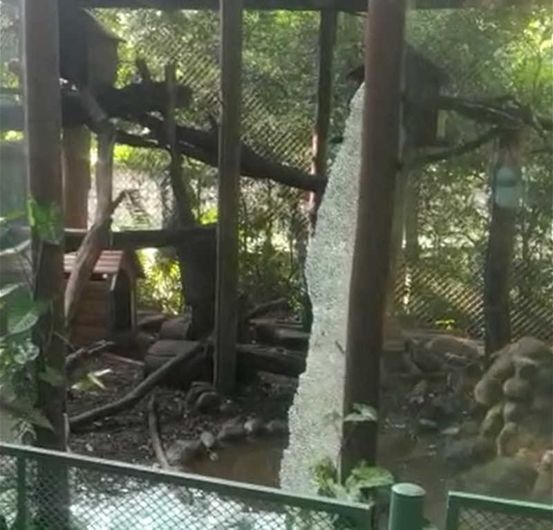 Jaula de Irarás danificada após ação de visitantes do Bosque Jequitibás, em Campinas (SP) — Foto: Arquivo Pessoal