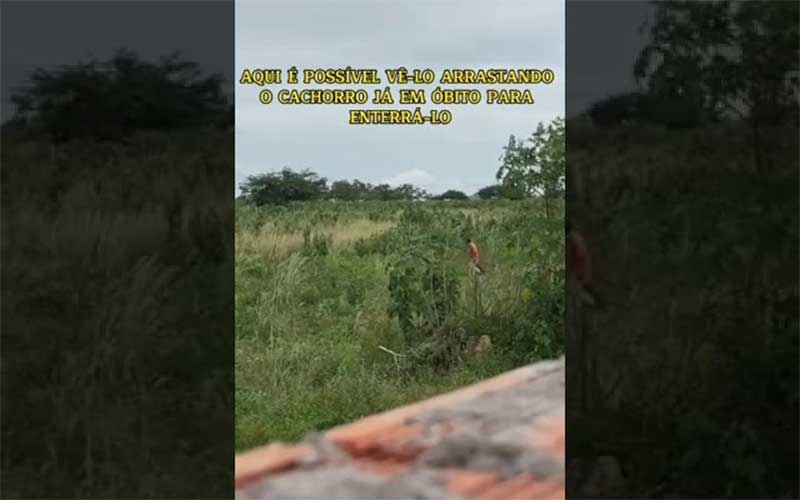 VÍDEO: Homem suspeito de assassinar e enterrar cachorro em Taquarana (AL) segue foragido