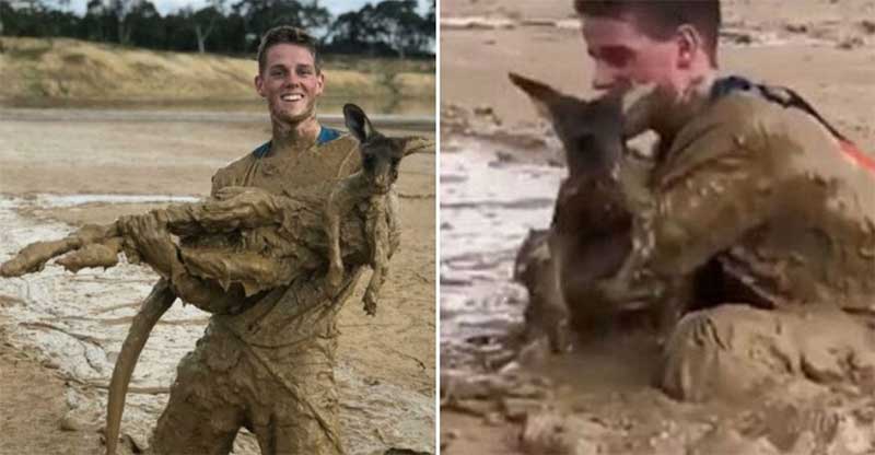 Jovens mergulham em poço cheio de lama para salvar canguru que ficou preso na Austrália