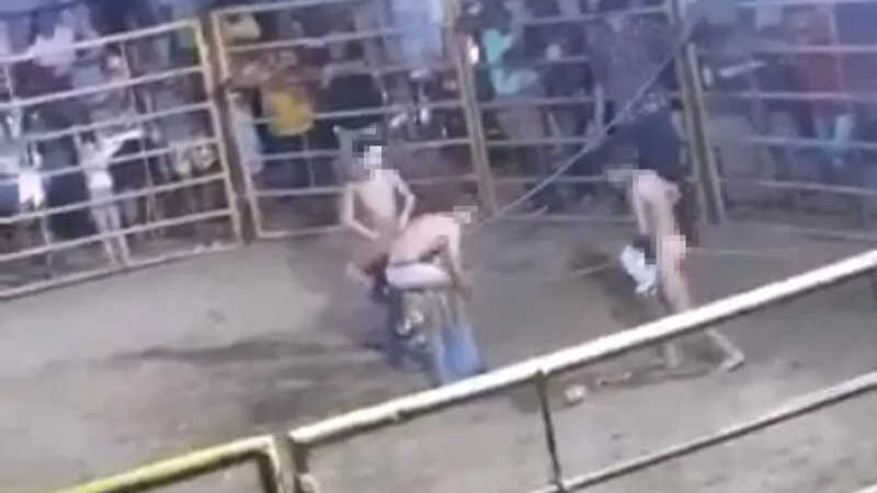 Polícia investiga vídeos de crianças nuas em rodeio, divulgados após denúncia de maus-tratos de animais em Baturité, CE