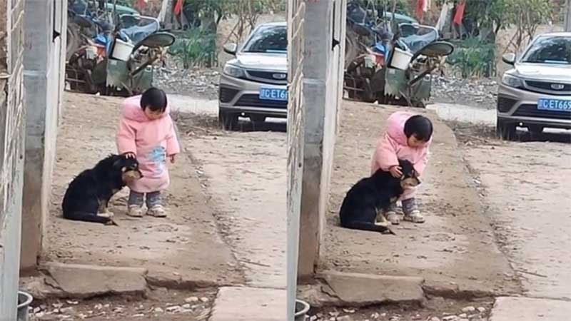 Menina tapa ouvidos de cão durante queima de fogos no Ano Novo Lunar na China