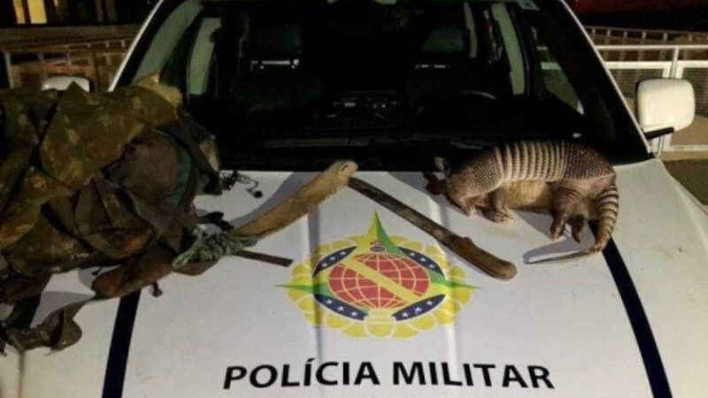 Caçador que abatia animais silvestres é preso em Planaltina, DF