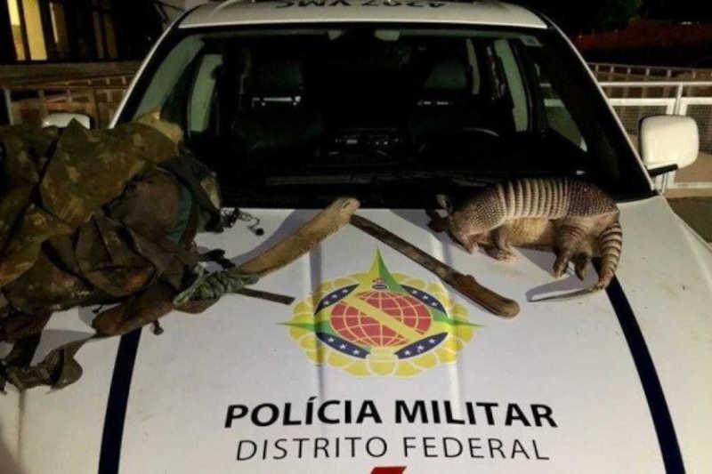 Caçador que abatia animais silvestres é preso em Planaltina, DF
