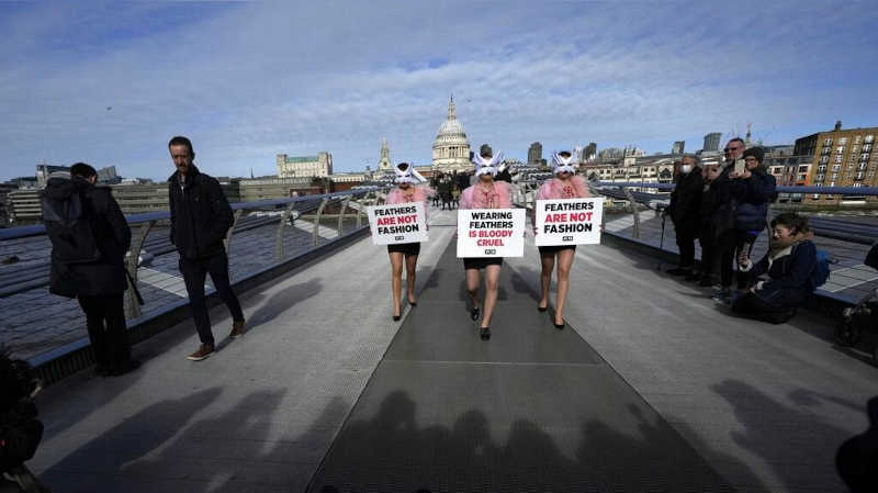 PETA protesta em Londres contra uso de penas na moda