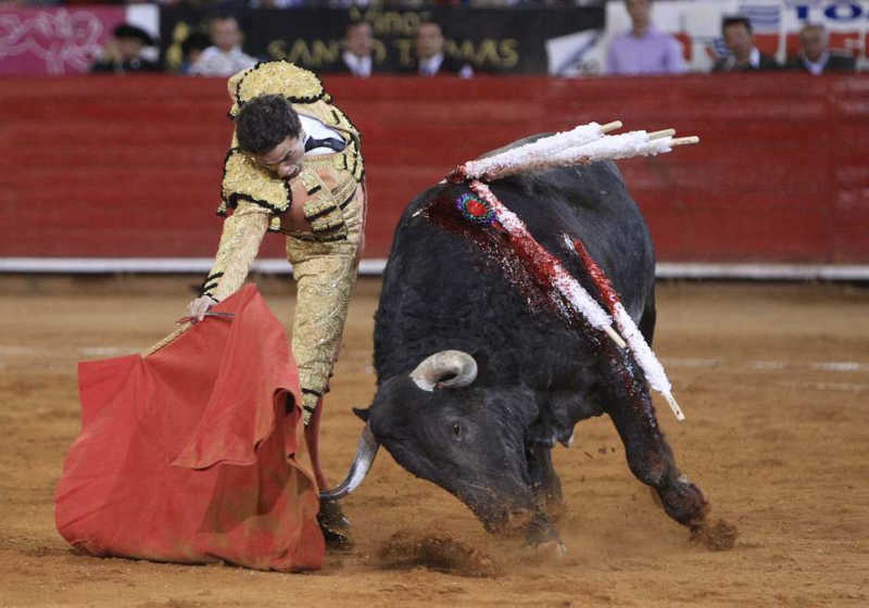 Eventos de touradas podem ser banidos na Cidade do México
