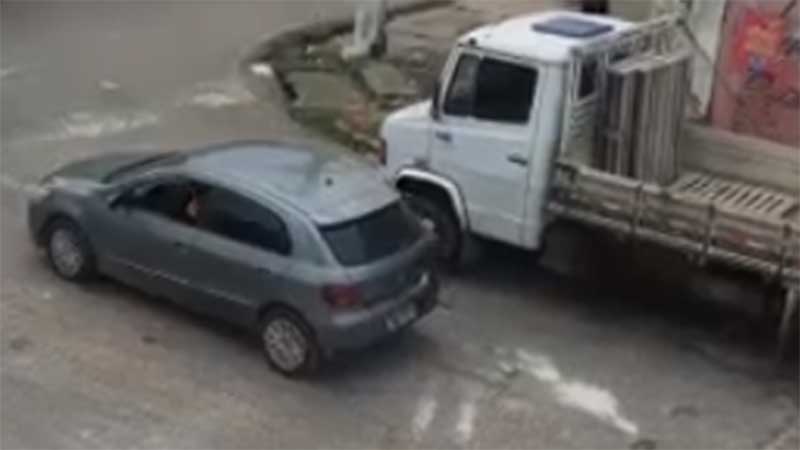 Vídeo: motorista é flagrado abandonando gato na calçada de Canudos, em Belém, PA