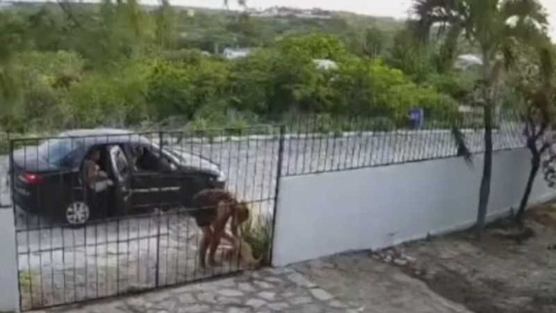 Câmera flagra mulher abandonando cachorro e forçando animal entrar pelo portão de casa, na Paraíba