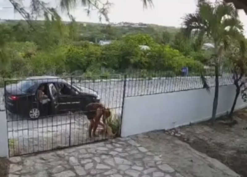 Câmera flagra mulher abandonando cachorro e forçando animal entrar pelo portão de casa, na Paraíba