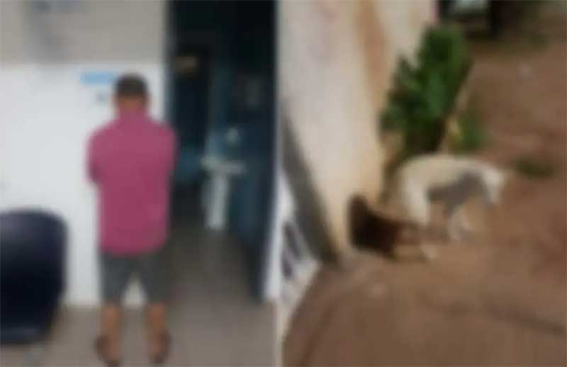 Mulheres acusam vizinho de abusar sexualmente de cadela e todos vão à delegacia em Araucária, PR