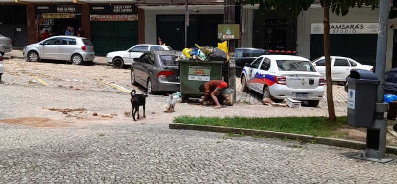 Após temporal em Petrópolis, protetores percorreram ruas da cidade para acolher animais desamparados — Foto: Arquivo pessoal