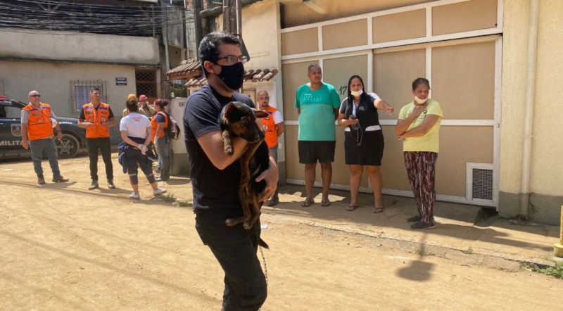 Petrópolis busca abrigo para animais, e grupos arrecadam doações em meio à tragédia