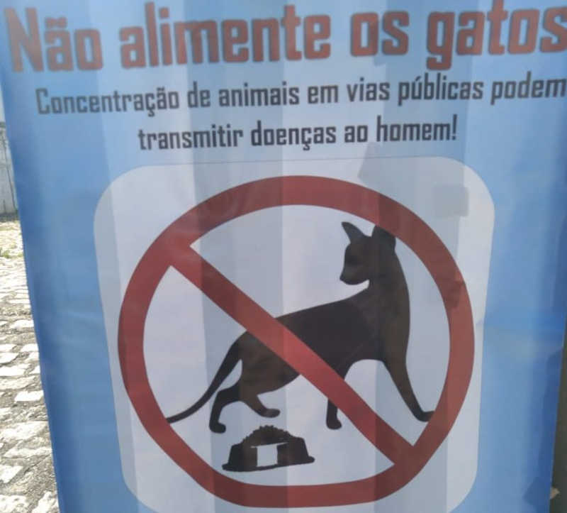 Prefeitura de Natal (RN) fixa cartazes pedindo para população não alimentar gatos de rua e causa revolta em protetores