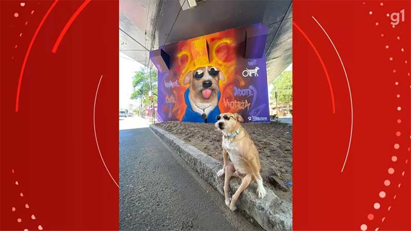 Cachorro paraplégico ganha mural em viaduto de Porto Alegre, RS