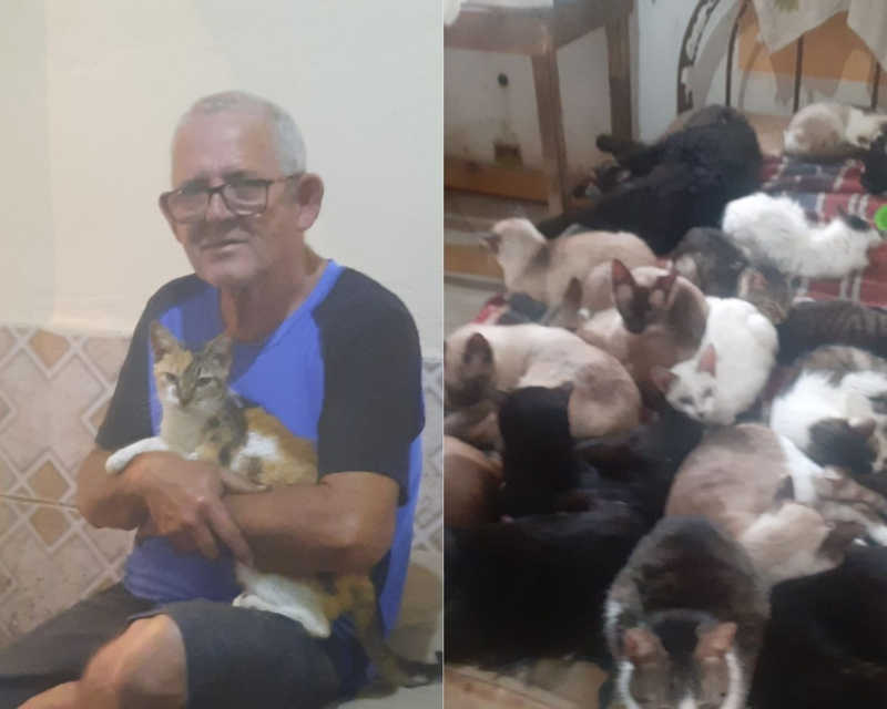 Por amor, padeiro concilia 5 empregos para sustentar 70 animais resgatados em SP: ‘Tudo tirado da rua’