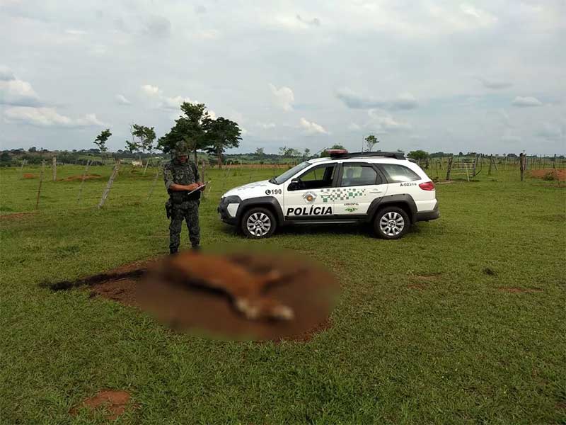 Polícia Ambiental encontra três cavalos mortos em propriedade rural e multa sitiante em R$ 18 mil em Tarabai, SP