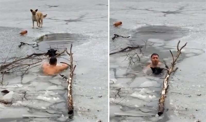 Homem salva cachorro encalhado em rio congelado na Ucrânia; veja vídeo